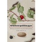 Caterpillage