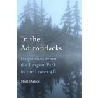 In the Adirondacks