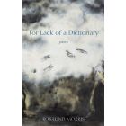 For Lack of a Dictionary