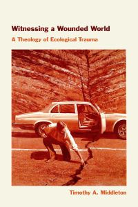 Witnessing a Wounded World